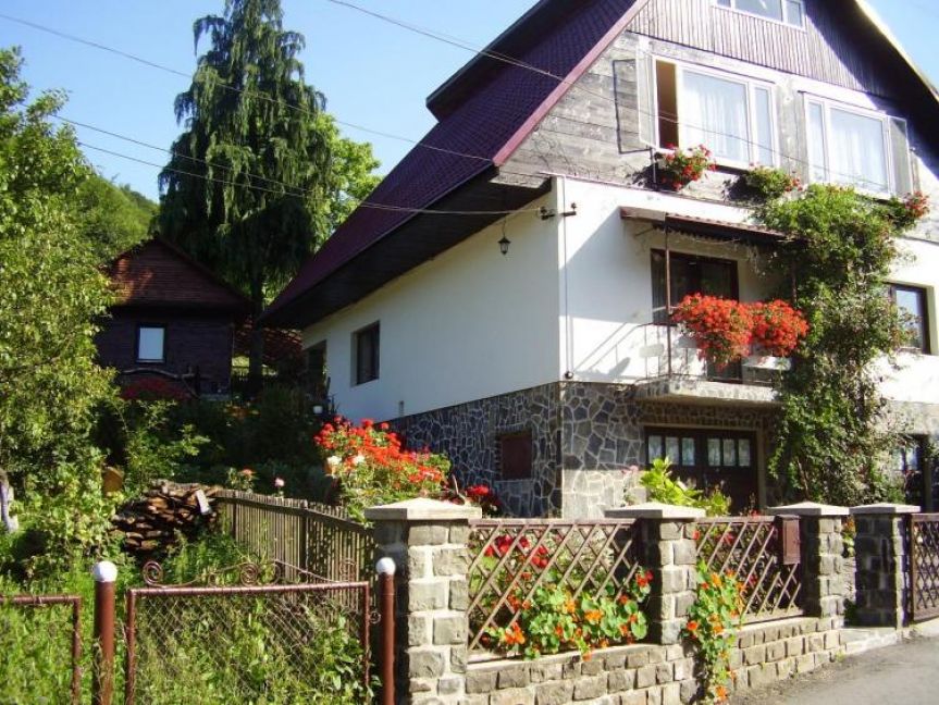 Pension Ana Cavnic